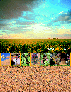 03coversmall 03coversmall